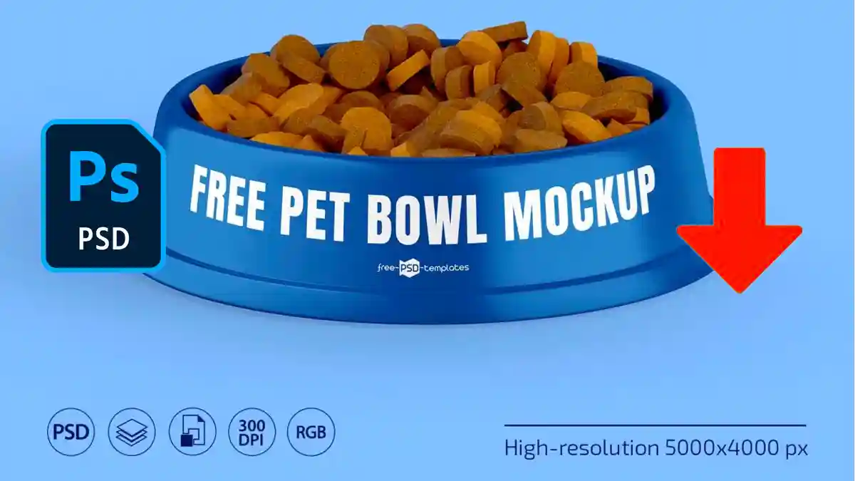 Free Pet Bowl Mockup for Your Next Design Project